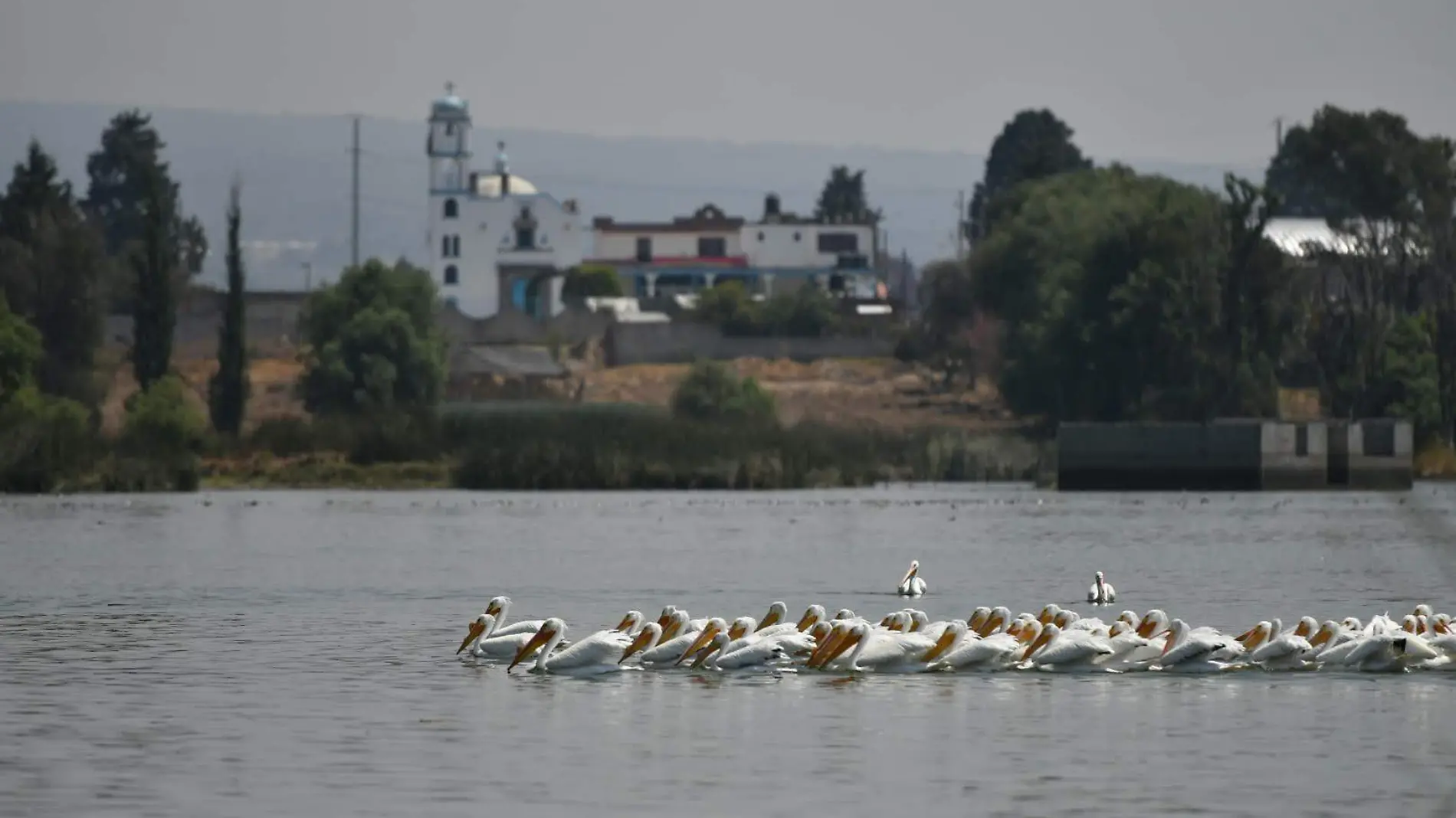 Laguna Acuitlapilco (1)